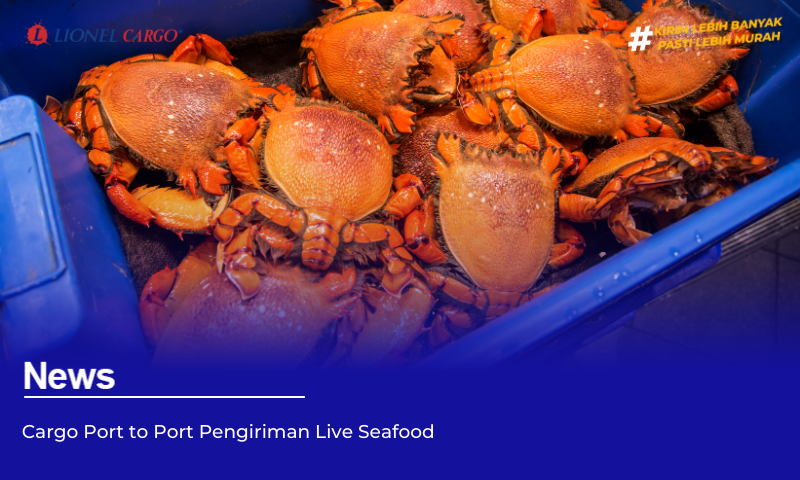 Cargo Port to Port Pengiriman Live Seafood
